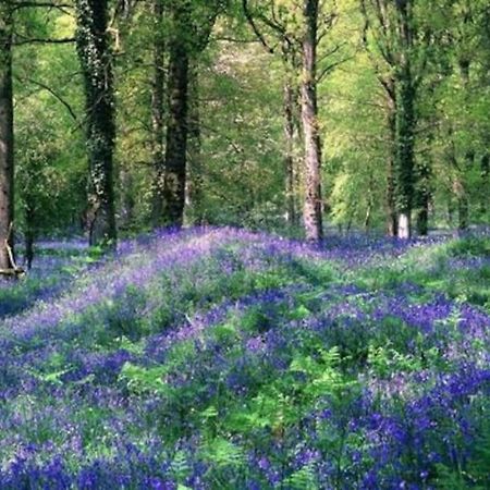 The Cider House Holiday Cottage Welsh Newton Common Εξωτερικό φωτογραφία