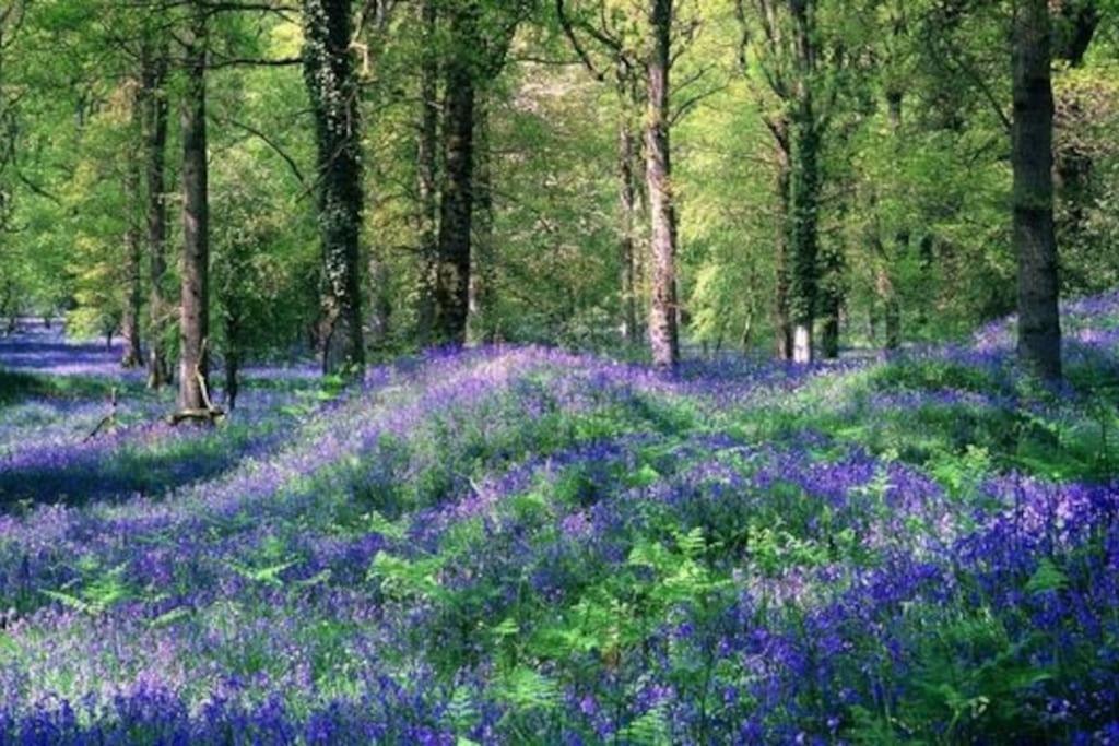 The Cider House Holiday Cottage Welsh Newton Common Εξωτερικό φωτογραφία