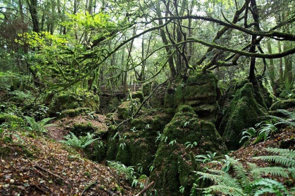 The Cider House Holiday Cottage Welsh Newton Common Εξωτερικό φωτογραφία